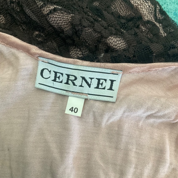 Cernei Y2K sheer long sleeve lace midi dress over lacy nude brown whimsigoth - Picture 2 of 13